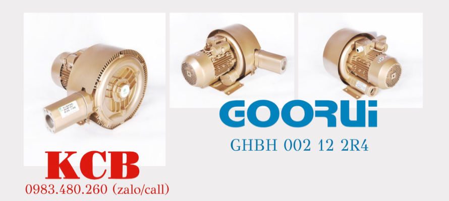 May thoi khi con so Goorui GHBH 002 12 2R4